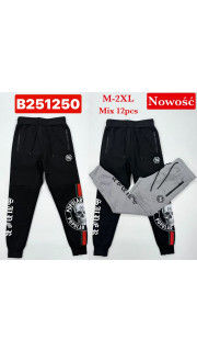 Spodnie męskie (M-2XL)