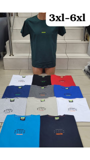 Bluzka męska (3XL-6XL)