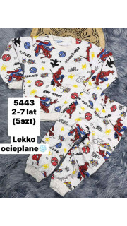 Komplet chłopięcy (2-7)