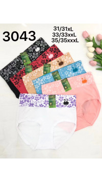 MAJTKI DAMSKIE (XL-3XL)