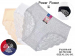 Majtki damskie (XL-3XL)