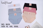 MAJTKI DAMSKIE (XL-3XL)