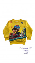 Bluza dziecięca (3-8)