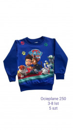 Bluza dziecięca (3-8)