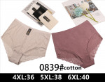 Majtki damskie (3XL-5XL)