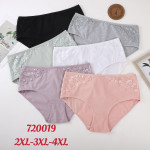 Majtki damskie (2XL-4XL)