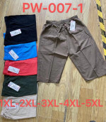 SZORTY DAMSKIE (XL-5XL)