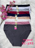 MAJTKI DAMSKIE (XL-3XL)