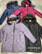 KURTKA DAMSKA (3XL-8XL)