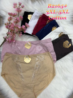 Majtki damskie (3XL-5XL)