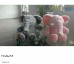 Pluszaki