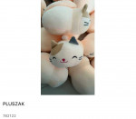 Pluszaki