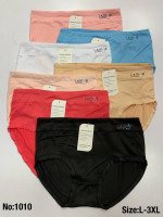 MAJTKI DAMSKIE (L-3XL)