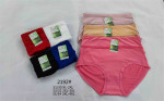 MAJTKI DAMSKIE (XL-4XL)