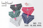 Majtki damskie (XL-3XL)
