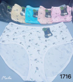 MAJTKI DAMSKIE (4XL-7XL)