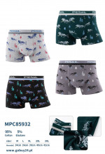 Bokserki męskie (M-3XL)