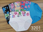 MAJTKI DAMSKIE (XL-3XL)