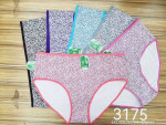 Majtki damskie (4XL-6XL)