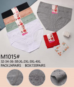 Majtki damskie (XL-4XL)