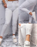 Spodnie damskie (42-50)