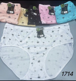 Majtki damskie (XL-4XL)
